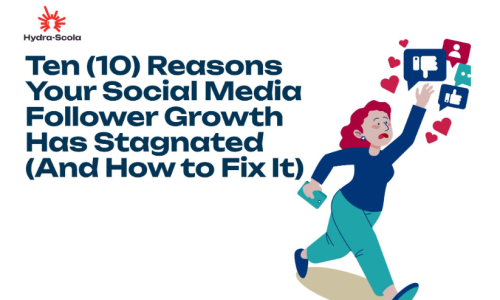 Social Media Follower Growth