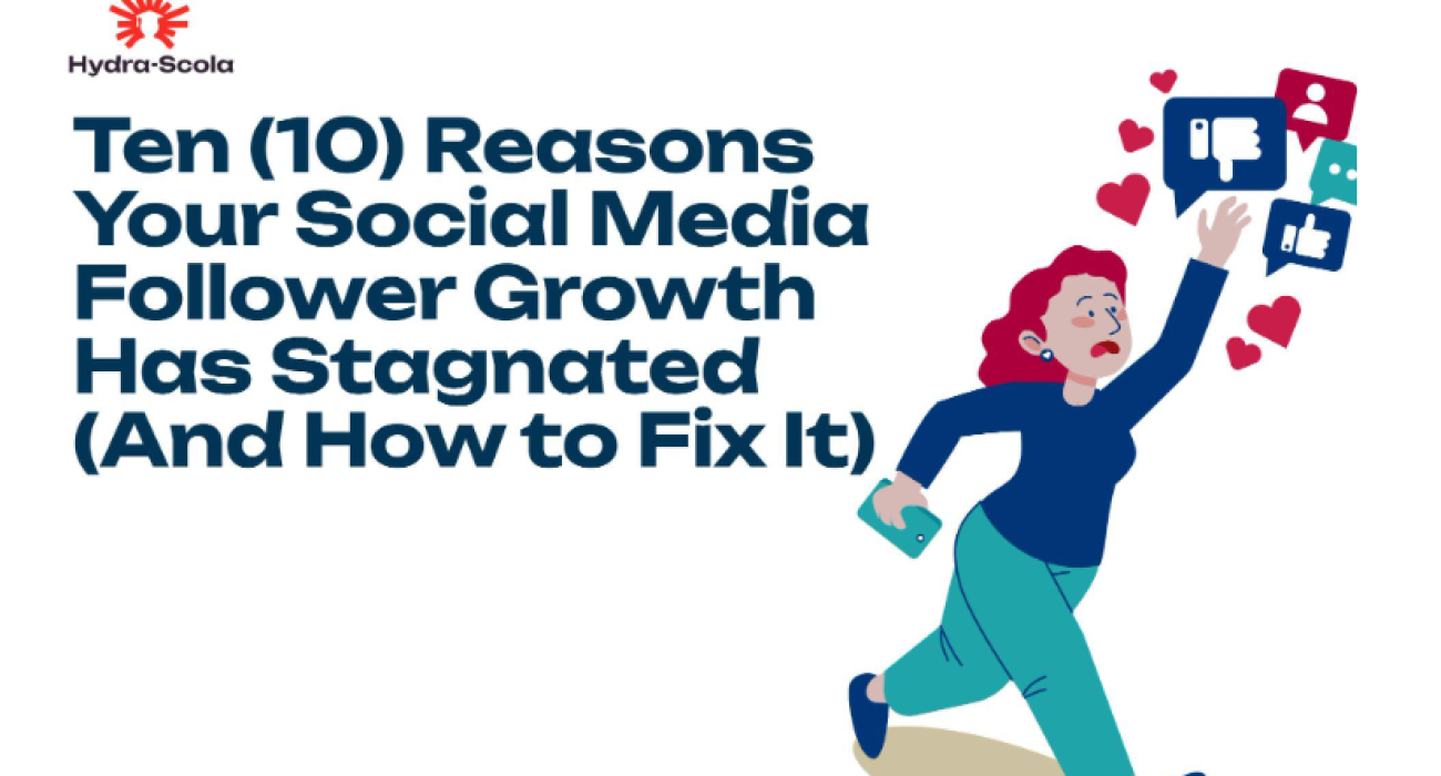 Social Media Follower Growth